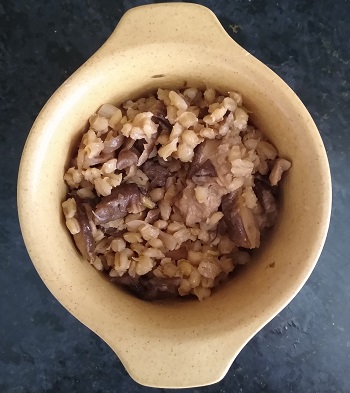 WildMushroomOrzotto